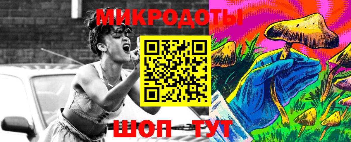 Горно-Алтайск  Псилоцибиновые грибы Psilocybine cubensis  Вход с VPN 