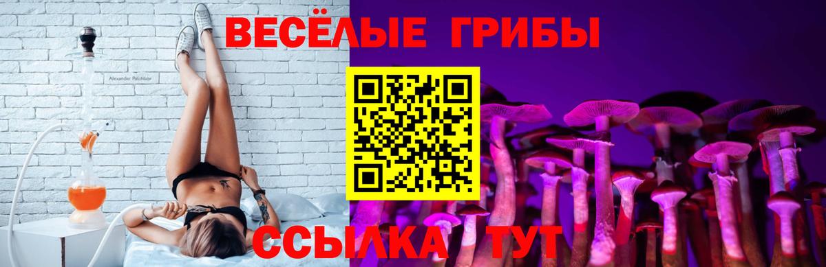 Галлюциногенные грибы GOLDEN TEACHER Горно-Алтайск